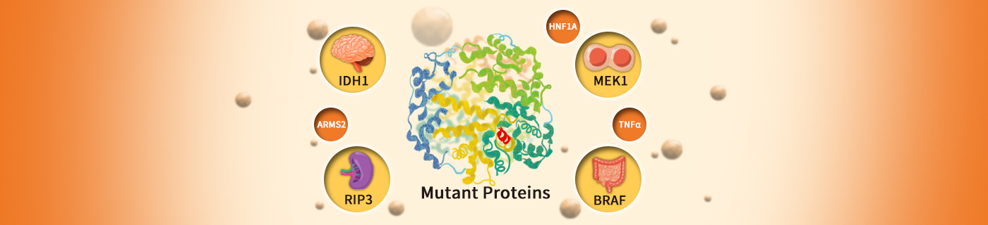 native proteins banner